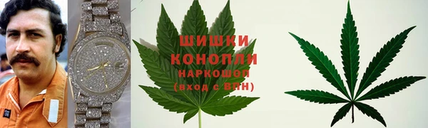 стаф Аркадак