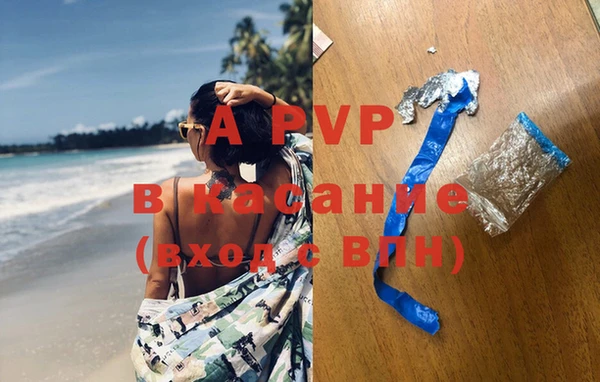 стаф Аркадак