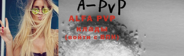 стаф Аркадак
