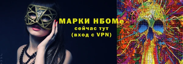 стаф Аркадак