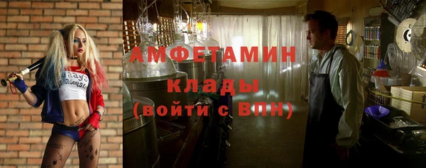 стаф Аркадак