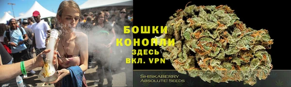 стаф Аркадак